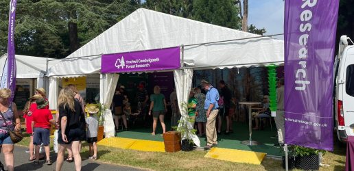 The Forest Research tent at an event in summer