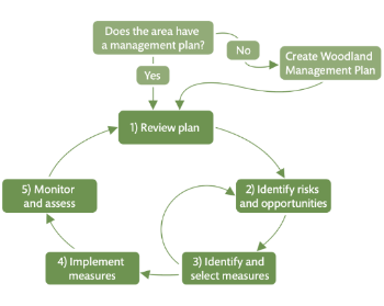 5-Step Adaptation Framework