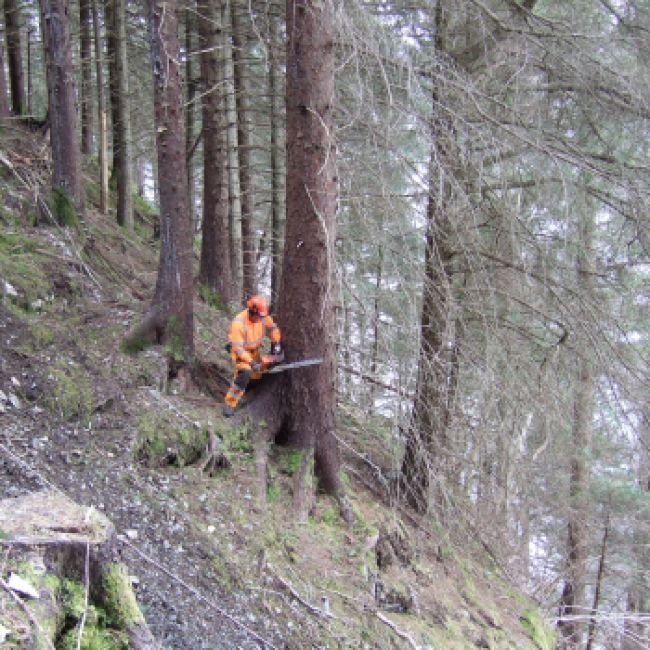  Steep ground harvesting and landslide prevention: the A82 project 