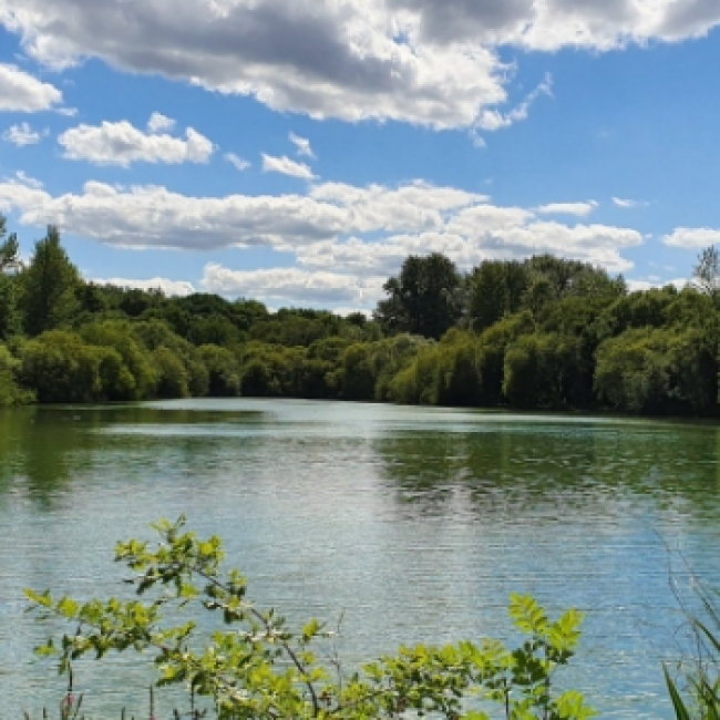  Demonstrating climate change adaptation in Alice Holt Forest 