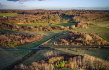  Jeskyns mixed broadleaf climate adaptation demonstration 