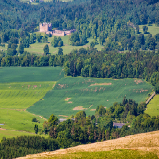  Woodland management planning at Queensberry Estate, Buccleuch 