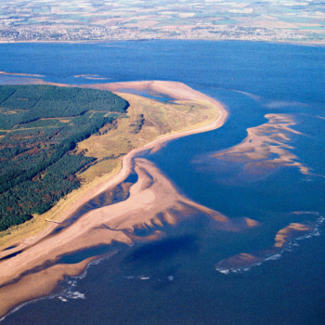  Managing for dynamic coastal change at Tentsmuir Forest 