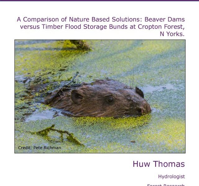 Title page of Beaver Dams versus Timber Flood Storage Bunds