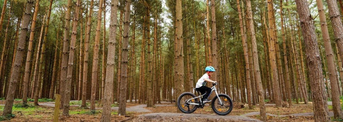 A boy cycles his bike through Cannock Chase.