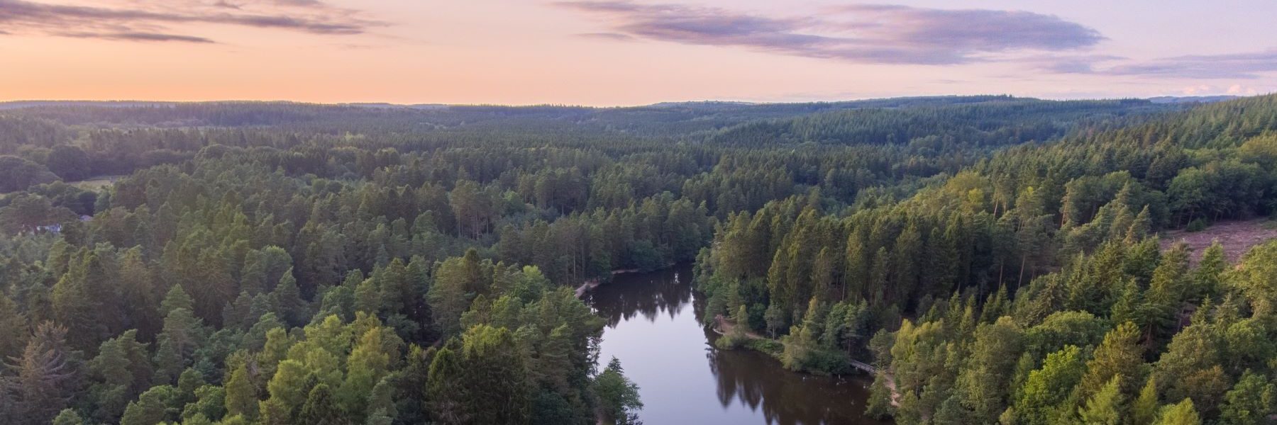 An aerial view of the Forest of Dean at dusk.