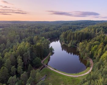 An aerial view of the Forest of Dean at dusk.