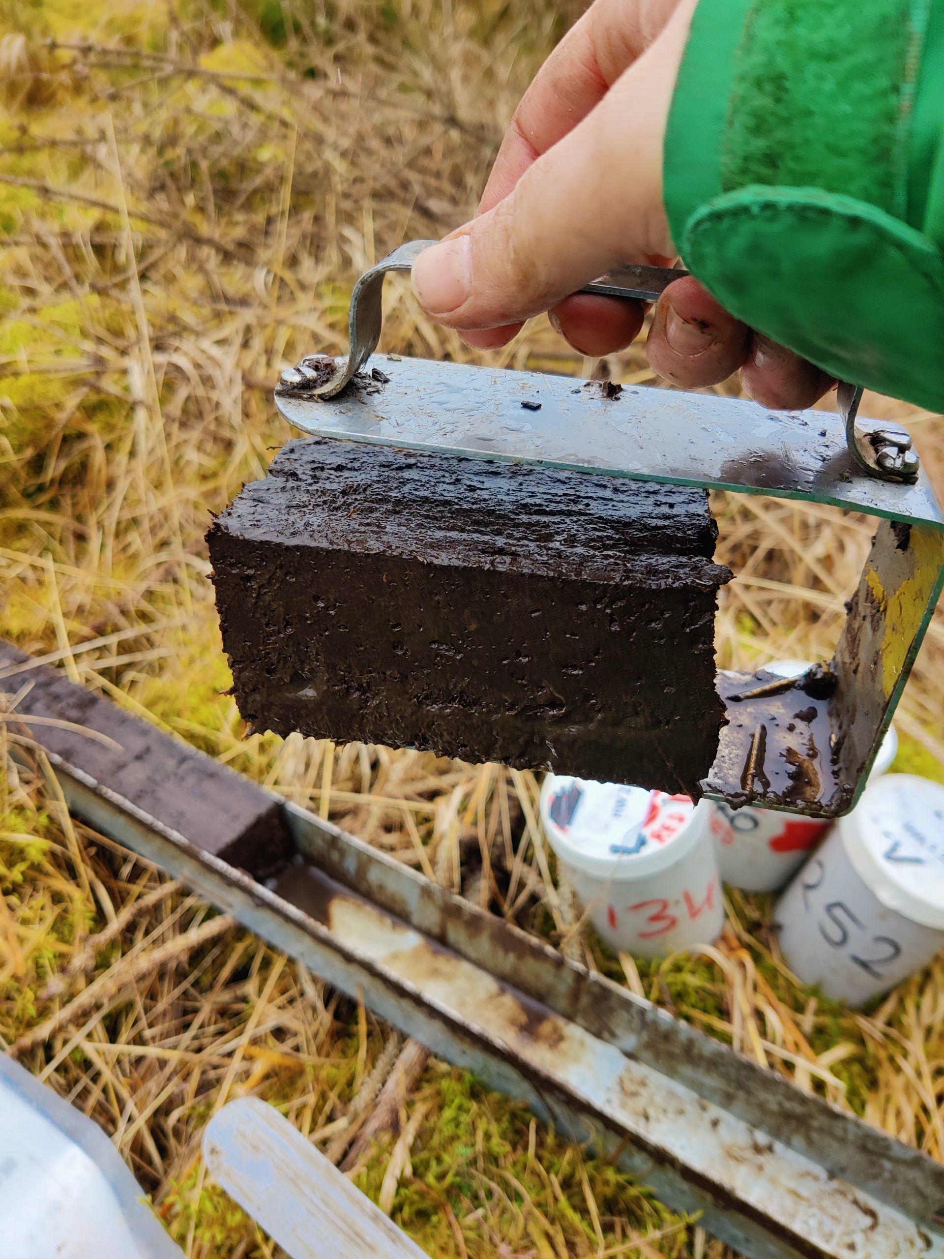 Bulk density sampling with box square corers