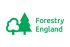 Forestry England logo