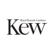 Kew logo