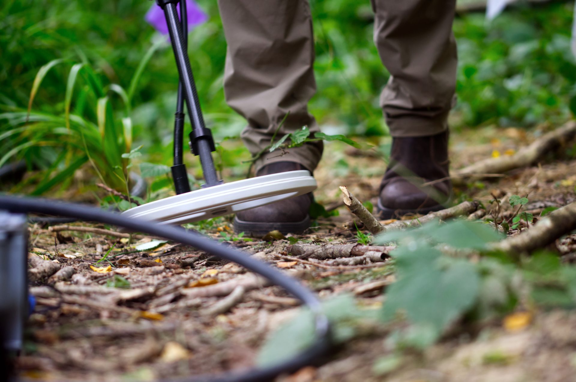 This RFID scanner is carefully searching the ground for tagged carabid beetles to understand their movement in woodlands