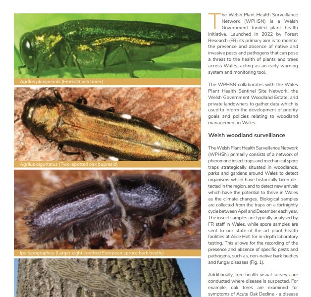 Cover of the publication " The Welsh Plant Health Surveillance Network".