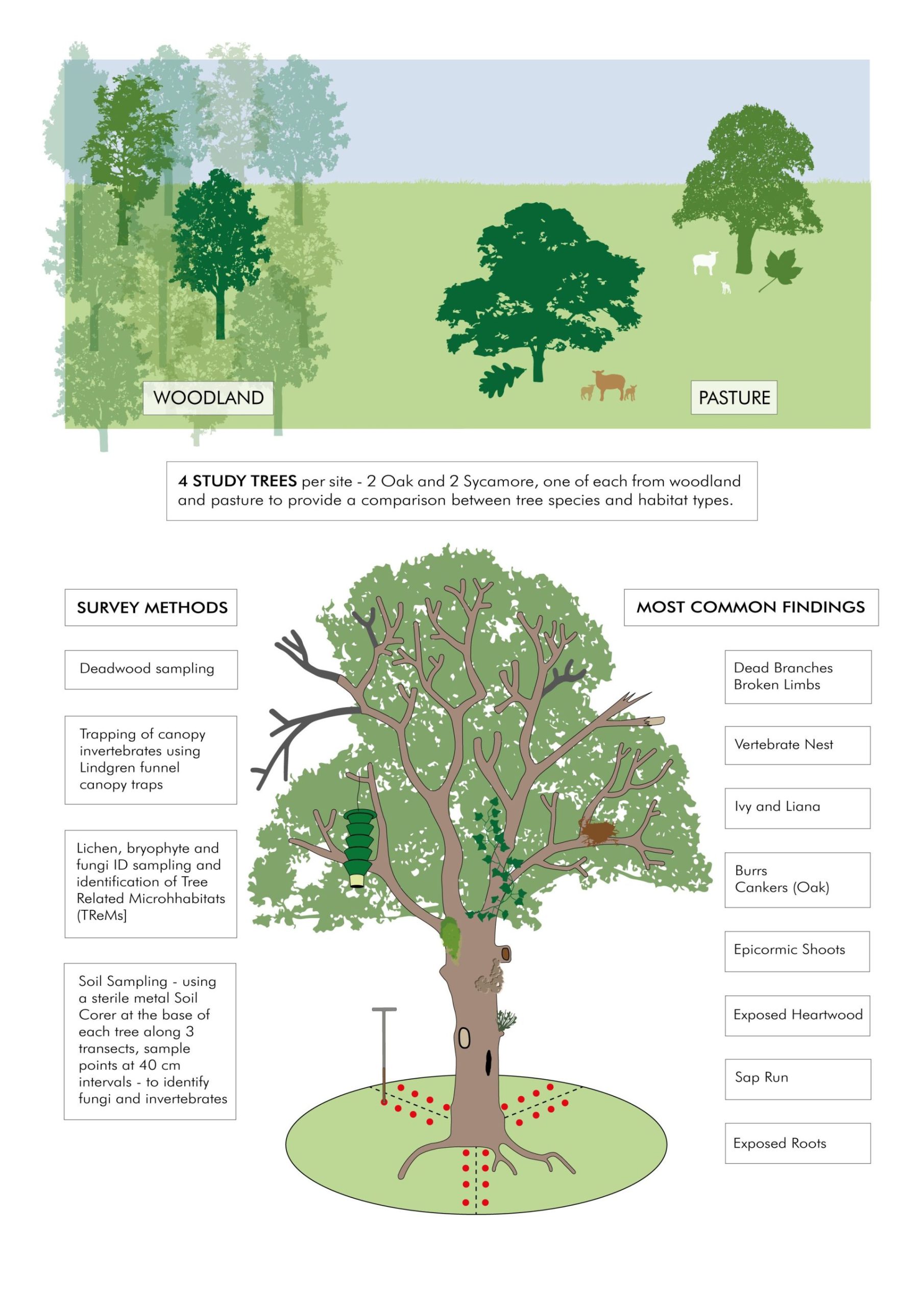 Survey methods and common findings