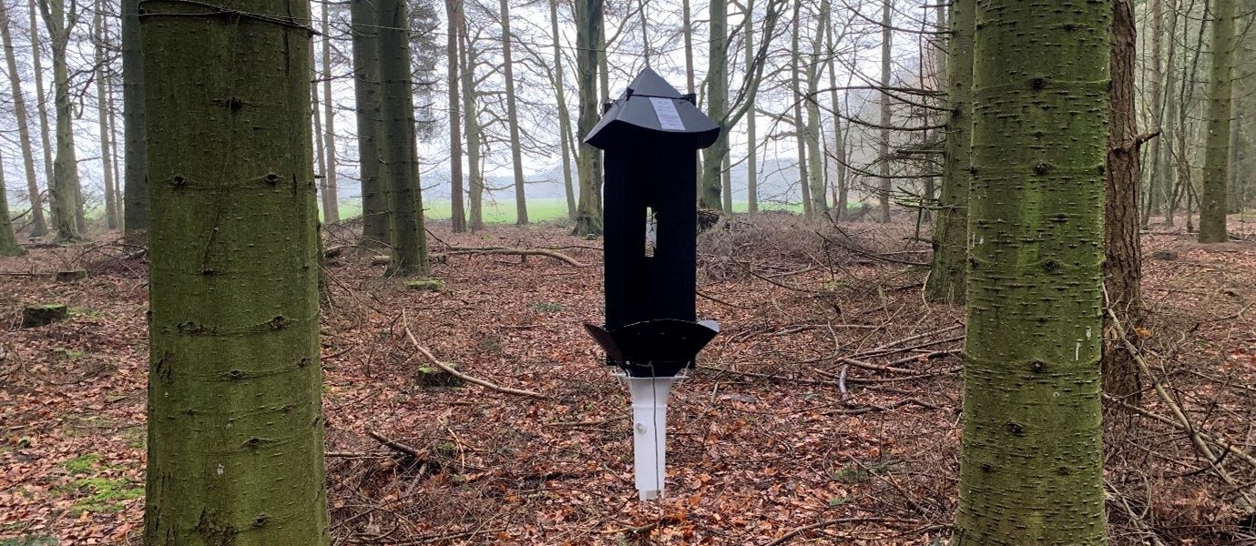 FTN cross-vane trap strung between trees in a Grand Fir woodland in Wykeham Forest, North Yorkshire.