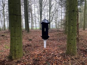 FTN cross-vane trap strung between trees in a Grand Fir woodland in Wykeham Forest, North Yorkshire.