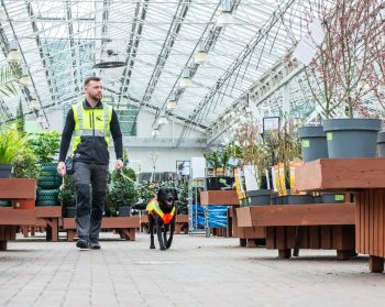 Man walking with dog on lead in garden centre