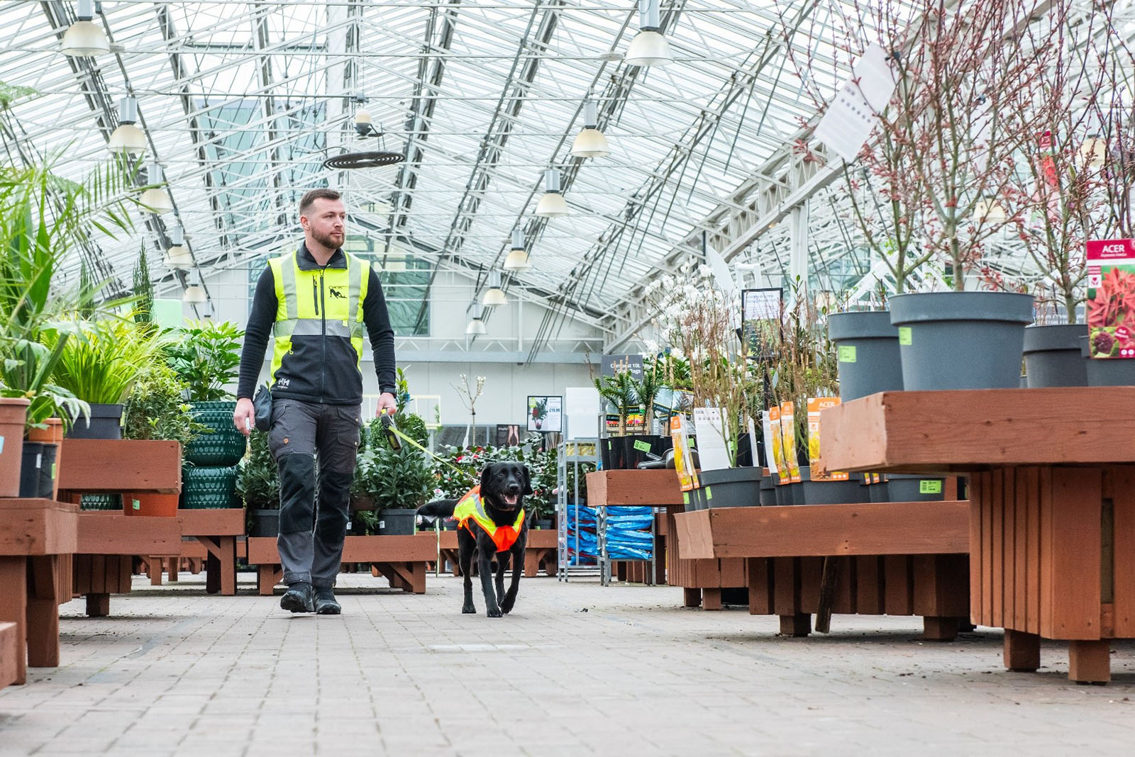 Man walking with dog on lead in garden centre