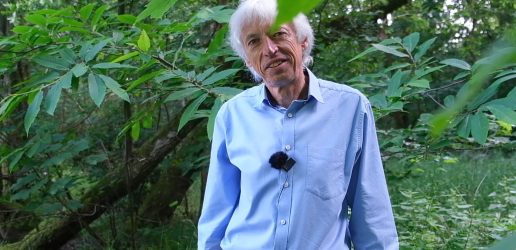 A photo of Tom Nisbet in riparian woodland, there is foliage in the foreground.