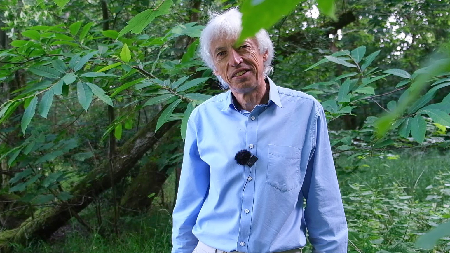 A photo of Tom Nisbet in riparian woodland, there is foliage in the foreground.