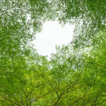 Carbon Sequestration