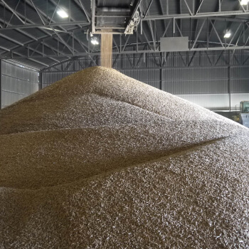 Forest Bioenergy