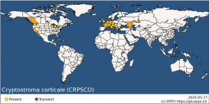 EPPO Cryptostroma corticale (CRPSCO) distribution map