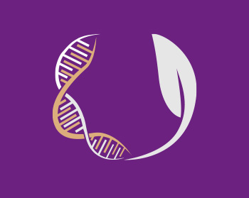 A graphic showing a strand of DNA changing into a stem and leaf.