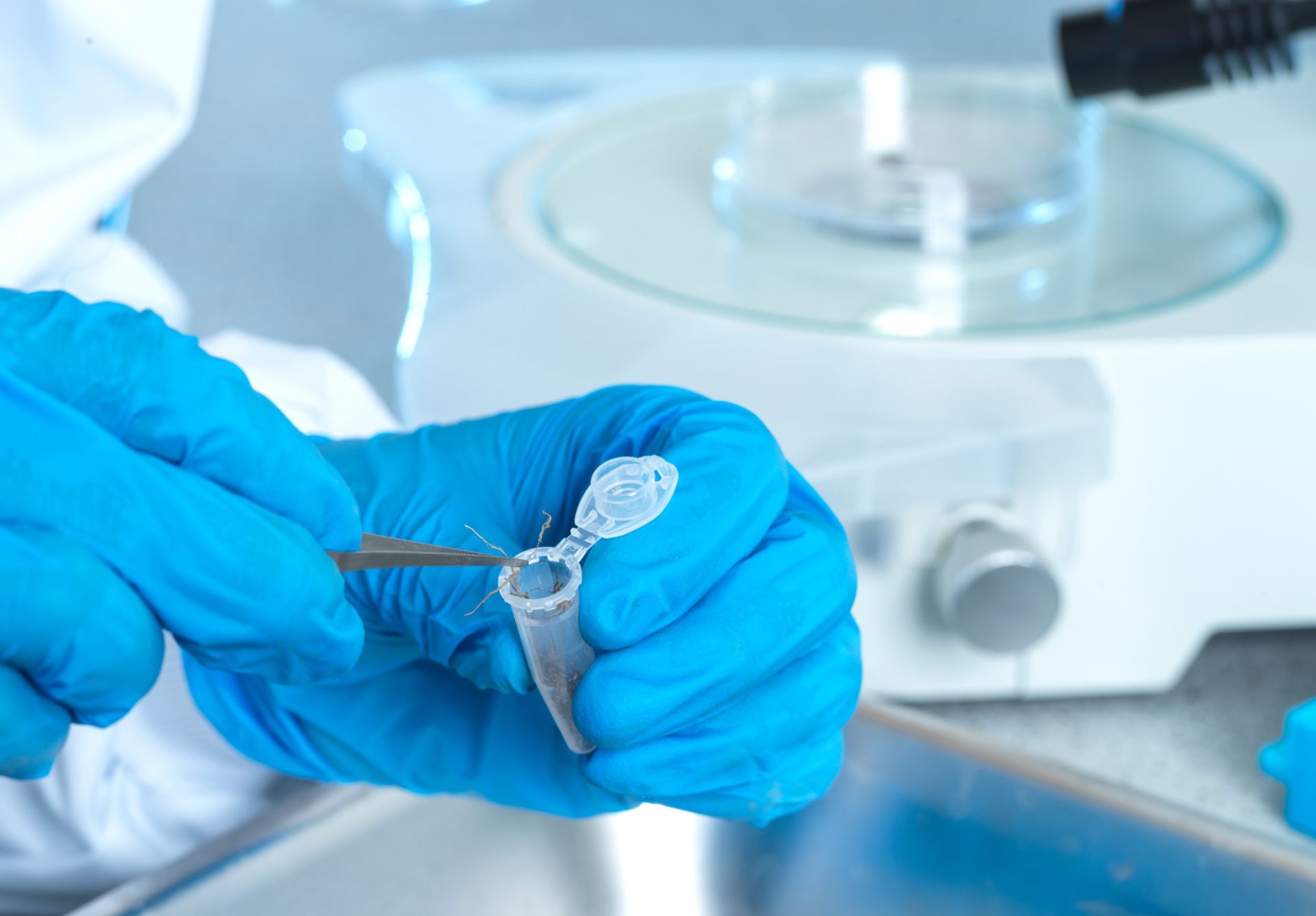 Two hands in blue gloves with scientific materials in the background. The hands are dealing with a sample in a small plastic tube.