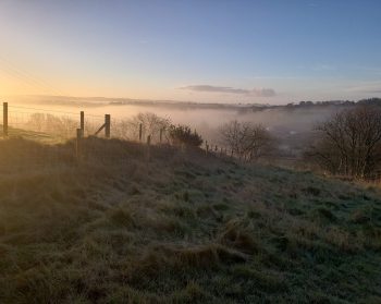 An early morning misty scene with trees in the background surrounded by mist.