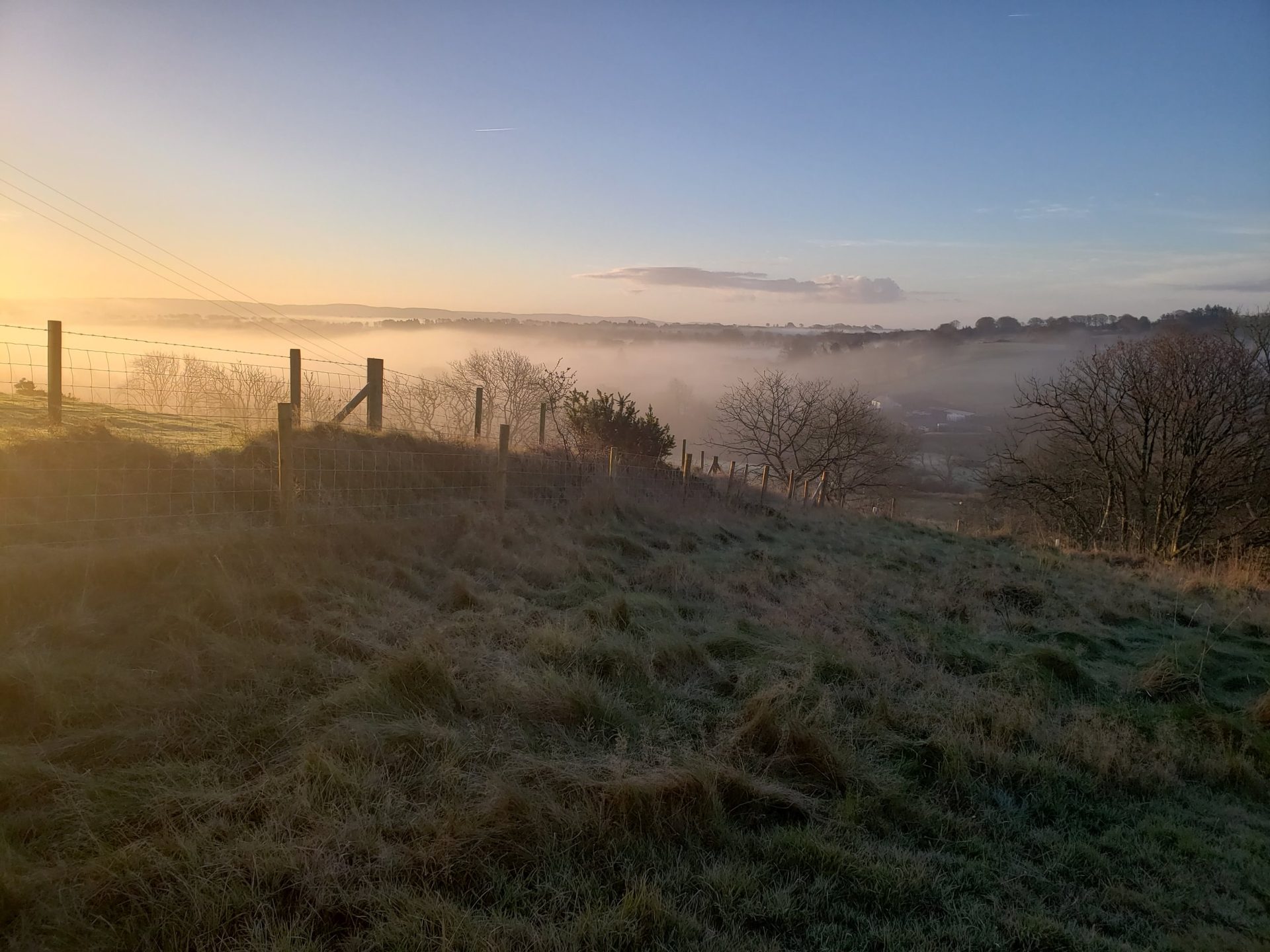 An early morning misty scene with trees in the background surrounded by mist.