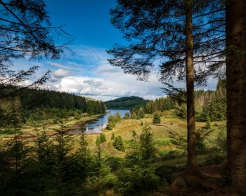 In the foreground there are tall trees, in the middle of the photo a loch s surrounded by photos, a blue sky is overhead.