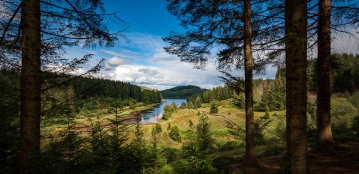 In the foreground there are tall trees, in the middle of the photo a loch s surrounded by photos, a blue sky is overhead.