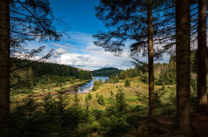 In the foreground there are tall trees, in the middle of the photo a loch s surrounded by photos, a blue sky is overhead.