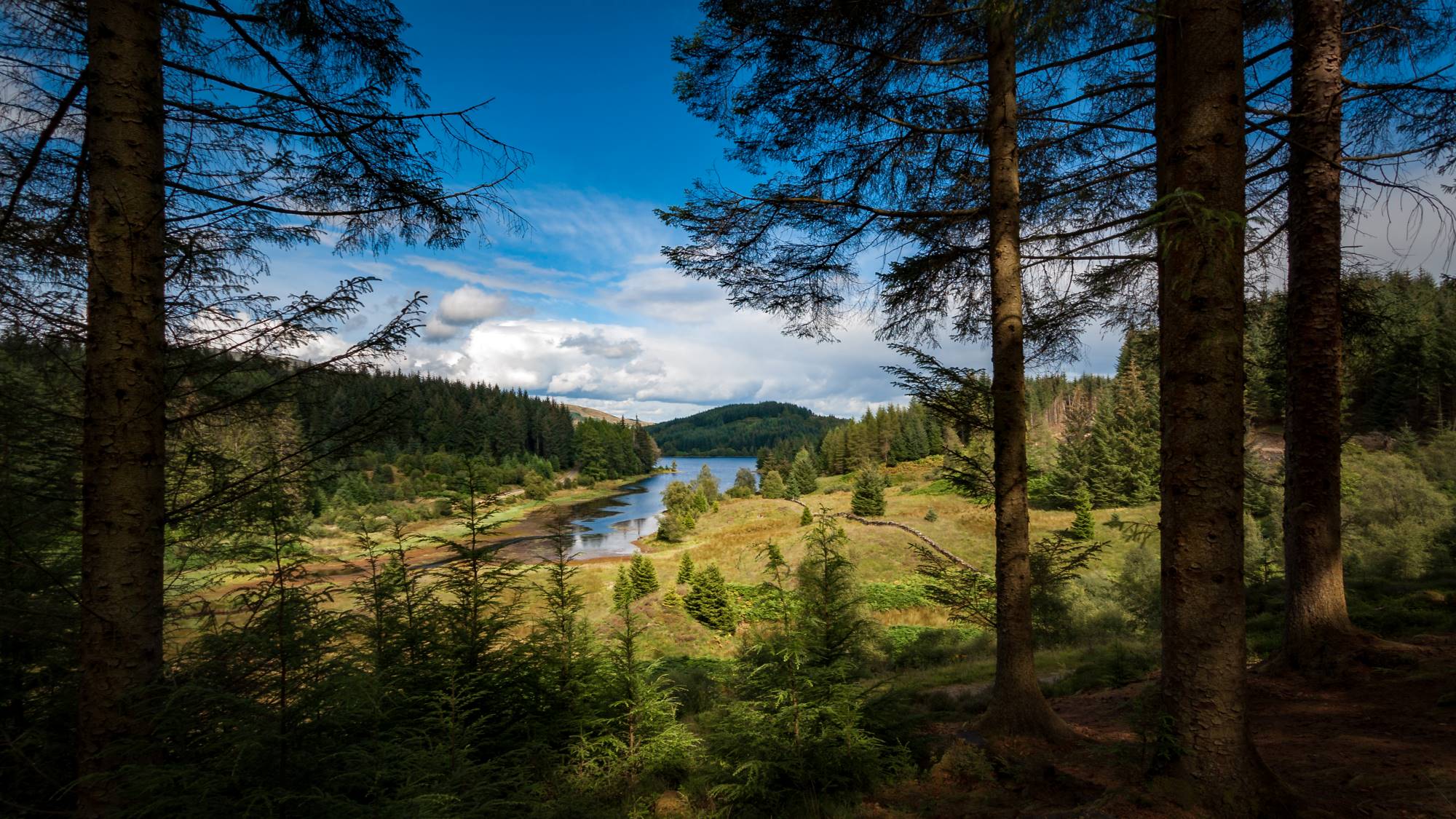 In the foreground there are tall trees, in the middle of the photo a loch s surrounded by photos, a blue sky is overhead. 