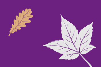 A graphic shows two different types of leaves.