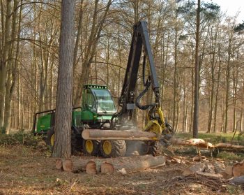 A green harvester is seen stripping branches from a log.