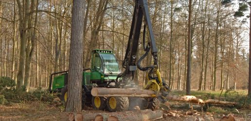 A green harvester is seen stripping branches from a log.