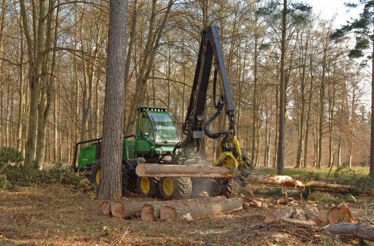 A green harvester is seen stripping branches from a log.