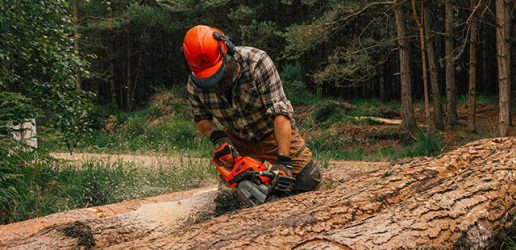 Man cutting tree