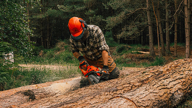 Man cutting tree