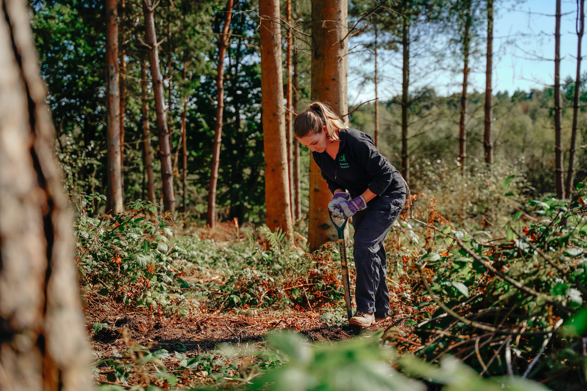 Woman wearing gloves with spade digging in forest