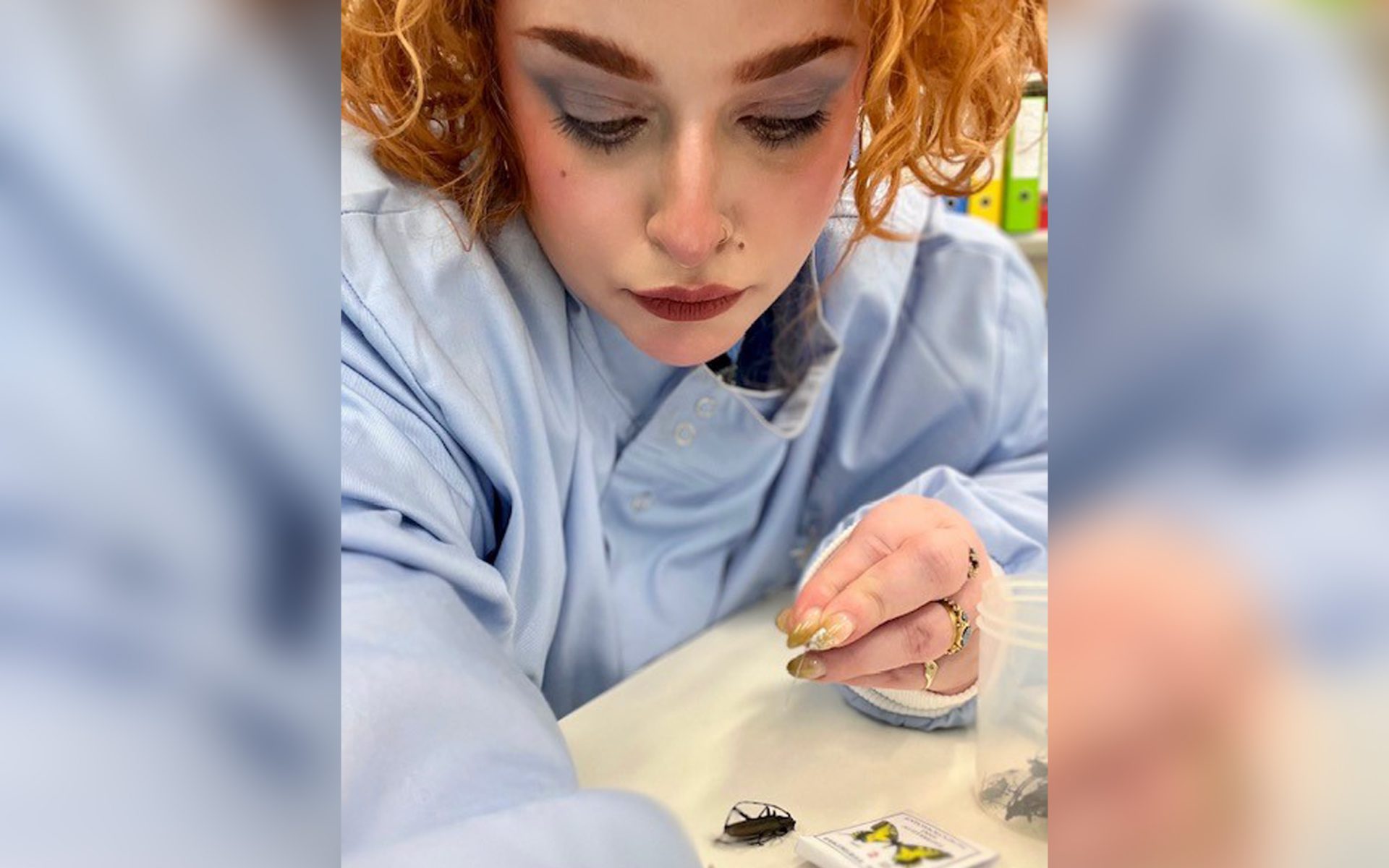 Danae is in a blue labcoat and is inspecting an insect of a white surface.