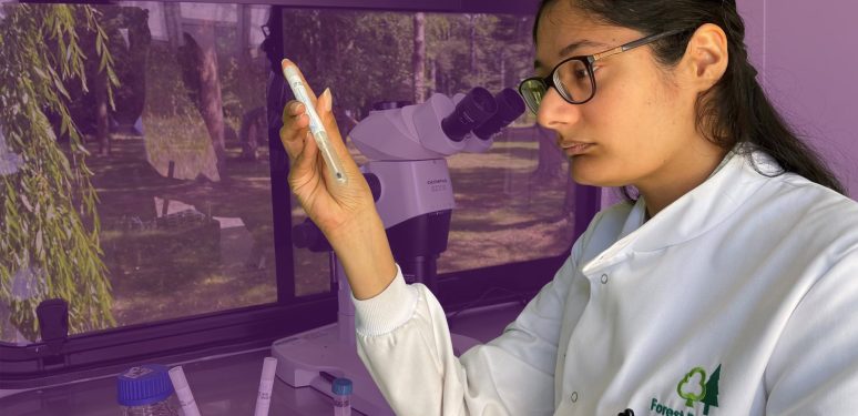 A Forest Research researcher studies a sample.