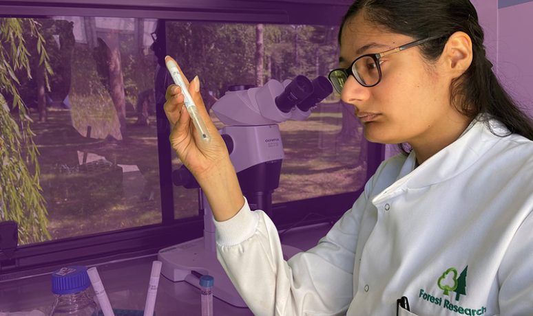 A Forest Research researcher studies a sample.