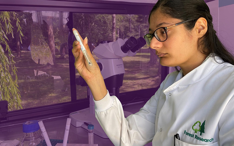 A Forest Research researcher studies a sample.