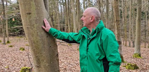 Chris Reynolds inspects a tree in a forest, he is in a green jacket and using his right hand to inspect the bark.