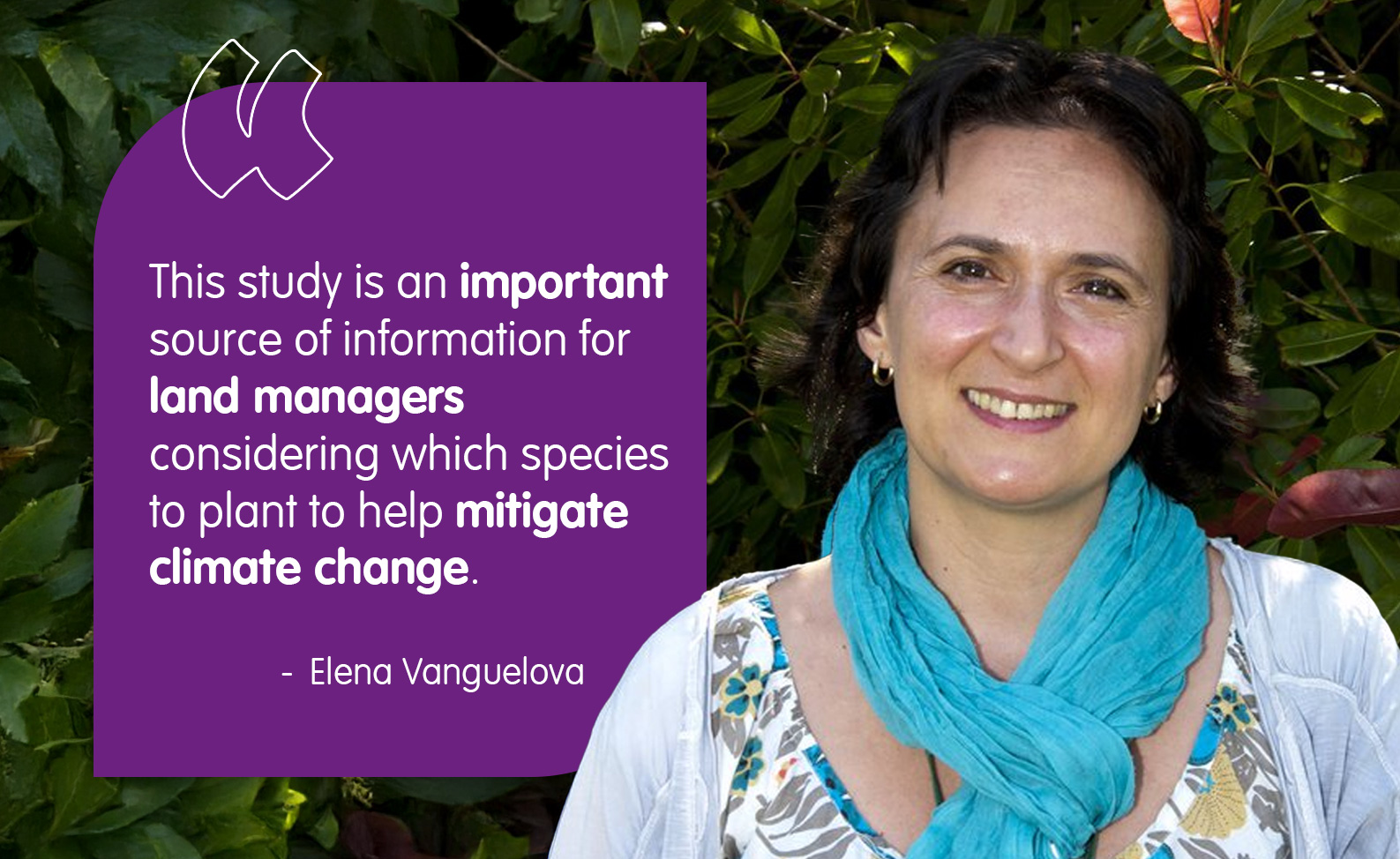 A quote from Elena Vanguelova which reads "This study is an important source of information for land managers 
considering which species to plant to help mitigate climate change."