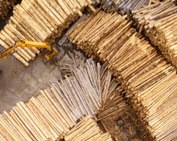 Wood and machinery in timber yard.