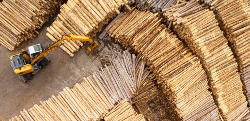 Wood and machinery in timber yard