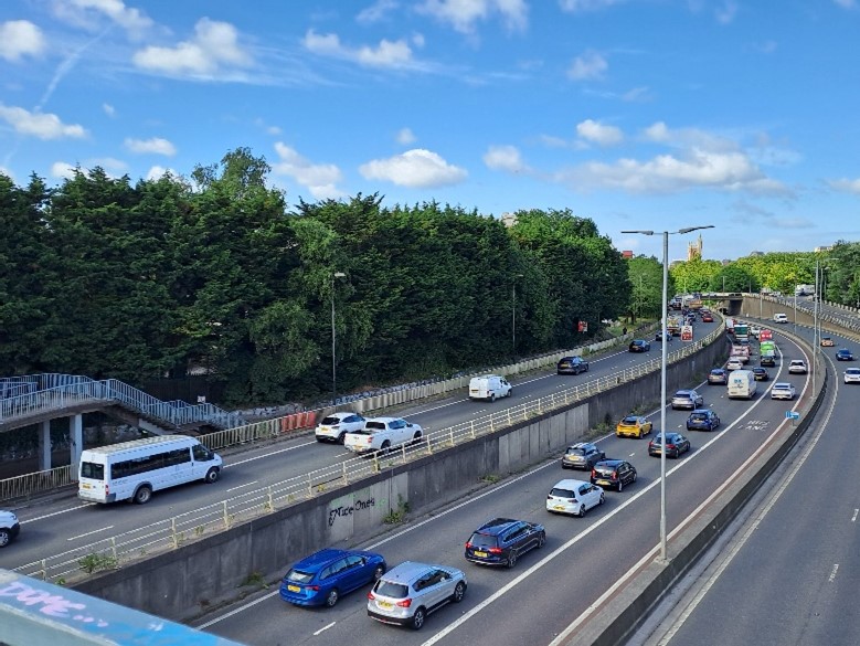 Trees near a busy motorway